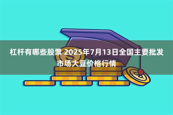 杠杆有哪些股票 2025年7月13日全国主要批发市场大豆价格行情