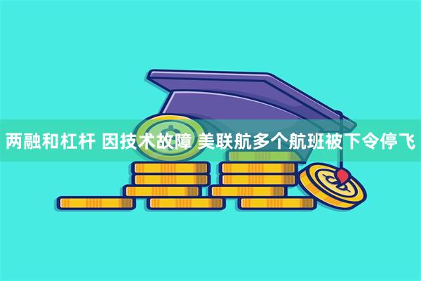 两融和杠杆 因技术故障 美联航多个航班被下令停飞