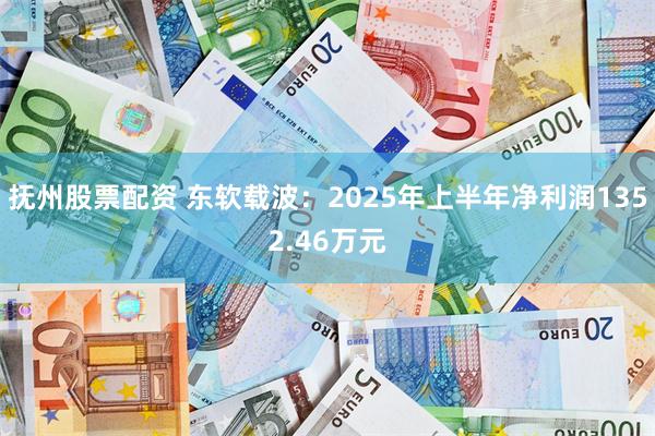 抚州股票配资 东软载波：2025年上半年净利润1352.46万元