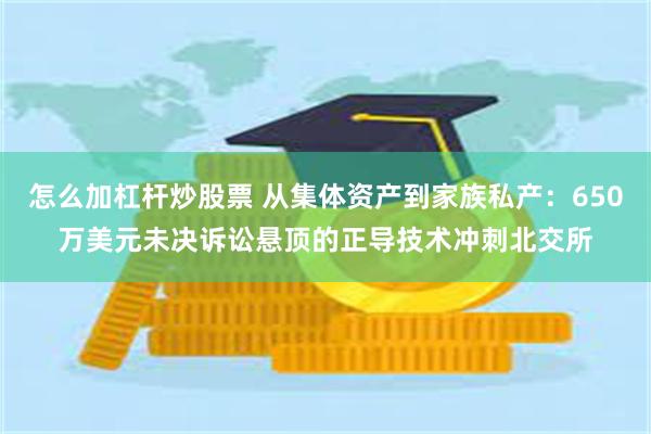 怎么加杠杆炒股票 从集体资产到家族私产：650万美元未决诉讼悬顶的正导技术冲刺北交所