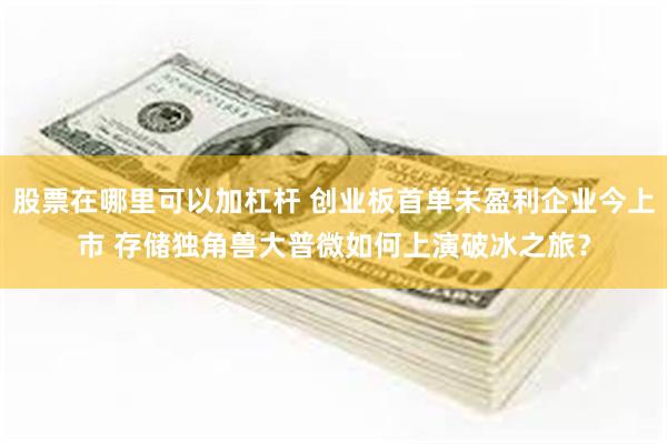 股票在哪里可以加杠杆 创业板首单未盈利企业今上市 存储独角兽大普微如何上演破冰之旅？