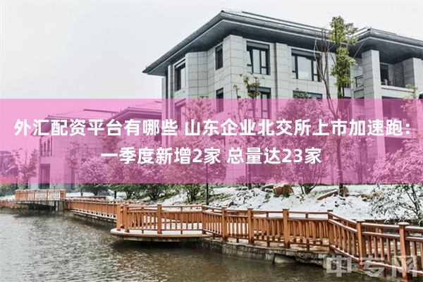 外汇配资平台有哪些 山东企业北交所上市加速跑：一季度新增2家 总量达23家