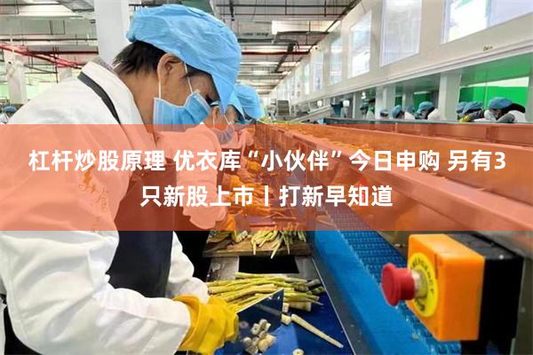 杠杆炒股原理 优衣库“小伙伴”今日申购 另有3只新股上市丨打新早知道