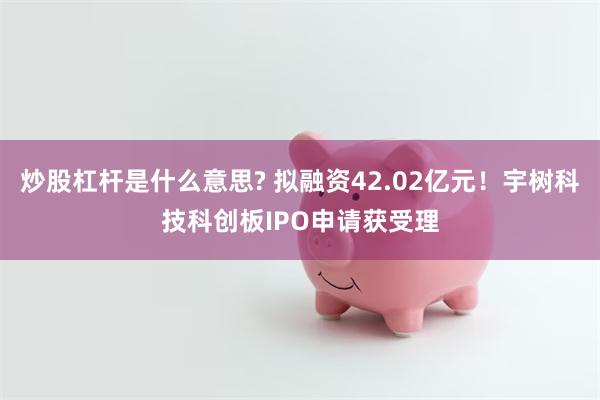 炒股杠杆是什么意思? 拟融资42.02亿元！宇树科技科创板IPO申请获受理