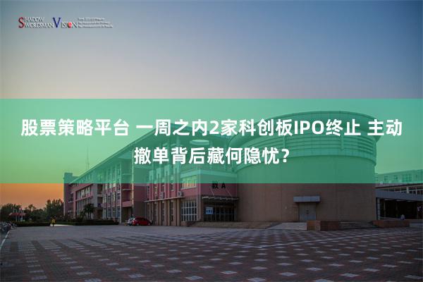 股票策略平台 一周之内2家科创板IPO终止 主动撤单背后藏何隐忧？