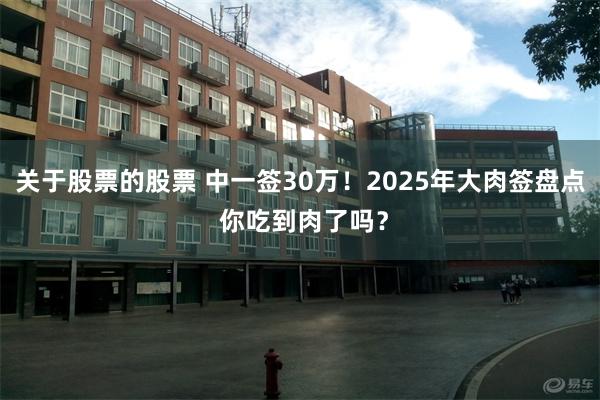 关于股票的股票 中一签30万！2025年大肉签盘点 你吃到肉了吗？