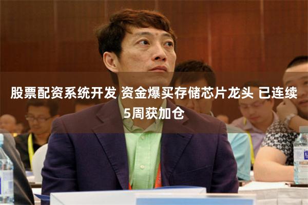 股票配资系统开发 资金爆买存储芯片龙头 已连续5周获加仓