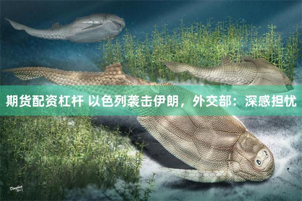 期货配资杠杆 以色列袭击伊朗，外交部：深感担忧