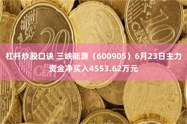 杠杆炒股口诀 三峡能源（600905）6月23日主力资金净买入4553.62万元