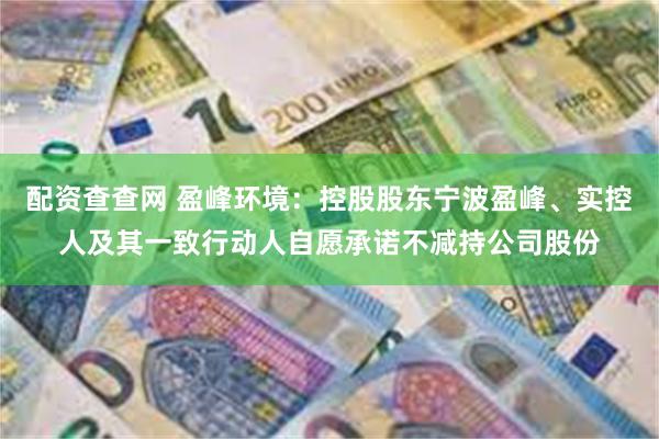 配资查查网 盈峰环境：控股股东宁波盈峰、实控人及其一致行动人自愿承诺不减持公司股份