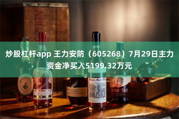 炒股杠杆app 王力安防（605268）7月29日主力资金净买入5199.32万元