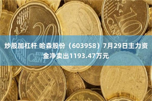 炒股加杠杆 哈森股份（603958）7月29日主力资金净卖出1193.47万元