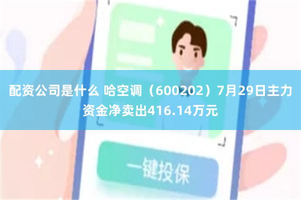 配资公司是什么 哈空调（600202）7月29日主力资金净卖出416.14万元