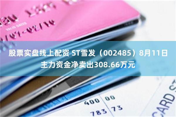 股票实盘线上配资 ST雪发（002485）8月11日主力资金净卖出308.66万元