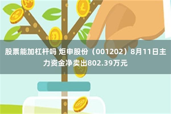 股票能加杠杆吗 炬申股份（001202）8月11日主力资金净卖出802.39万元