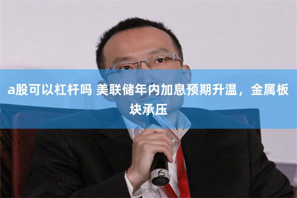 a股可以杠杆吗 美联储年内加息预期升温，金属板块承压