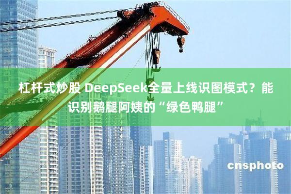 杠杆式炒股 DeepSeek全量上线识图模式？能识别鹅腿阿姨的“绿色鸭腿”