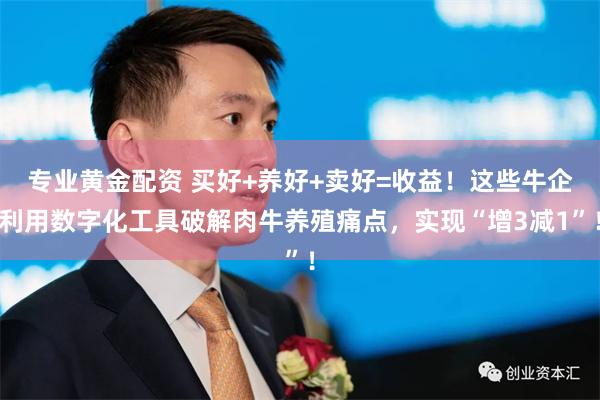 专业黄金配资 买好+养好+卖好=收益!这些牛企利用数字化工具破解肉牛养殖痛点,实现“增3减1”!