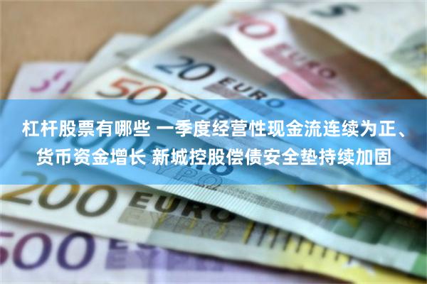 杠杆股票有哪些 一季度经营性现金流连续为正、货币资金增长 新城控股偿债安全垫持续加固