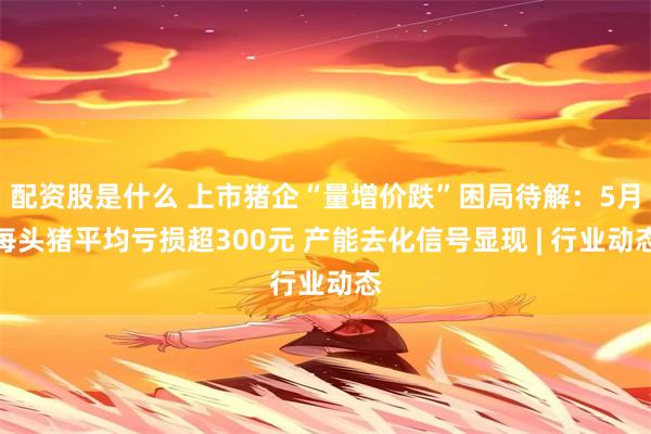 配资股是什么 上市猪企“量增价跌”困局待解:5月每头猪平均亏损超300元 产能去化信号显现 | 行业动态