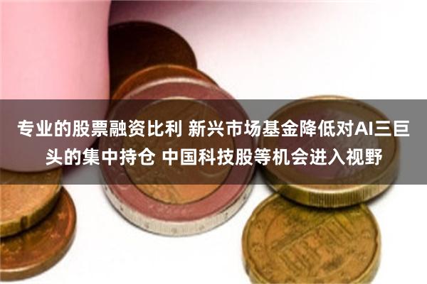 专业的股票融资比利 新兴市场基金降低对AI三巨头的集中持仓 中国科技股等机会进入视野