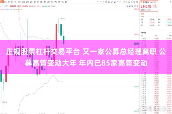 正规股票杠杆交易平台 又一家公募总经理离职 公募高管变动大年 年内已85家高管变动