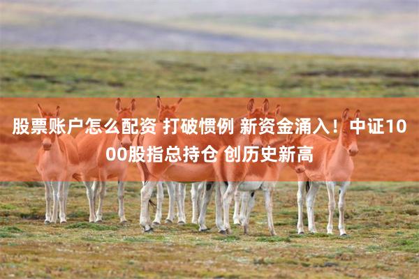 股票账户怎么配资 打破惯例 新资金涌入!中证1000股指总持仓 创历史新高