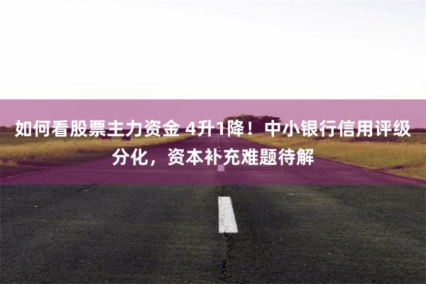 如何看股票主力资金 4升1降！中小银行信用评级分化，资本补充难题待解