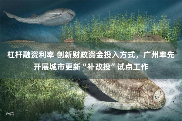 杠杆融资利率 创新财政资金投入方式，广州率先开展城市更新“补改投”试点工作