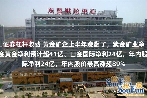 证券杠杆收费 黄金矿企上半年赚翻了，紫金矿业净利近392亿、中金黄金净利预计超41亿、山金国际净利24亿，年内股价最高涨超89%