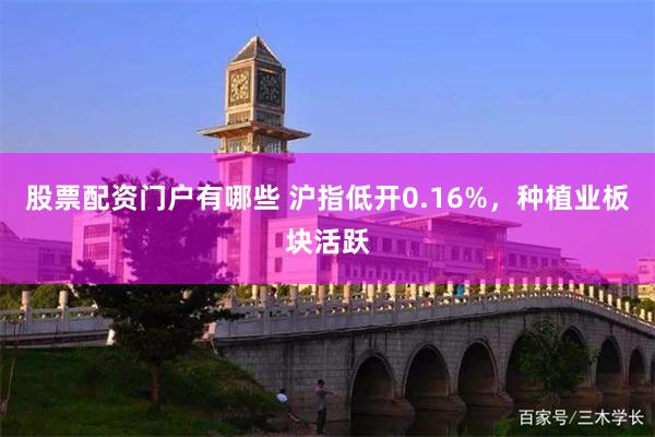 股票配资门户有哪些 沪指低开0.16%,种植业板块活跃