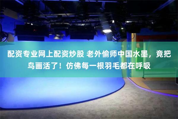 配资专业网上配资炒股 老外偷师中国水墨，竟把鸟画活了！仿佛每一根羽毛都在呼吸