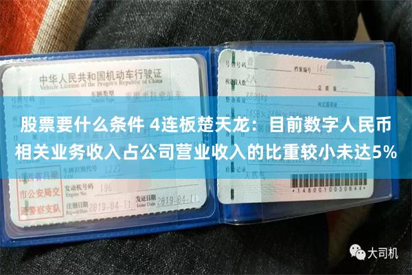 股票要什么条件 4连板楚天龙：目前数字人民币相关业务收入占公司营业收入的比重较小未达5%