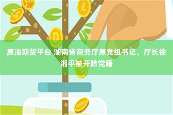 原油期货平台 湖南省商务厅原党组书记、厅长徐湘平被开除党籍