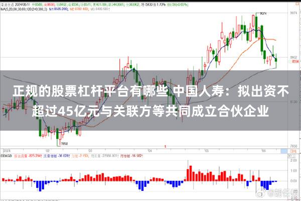 正规的股票杠杆平台有哪些 中国人寿：拟出资不超过45亿元与关联方等共同成立合伙企业