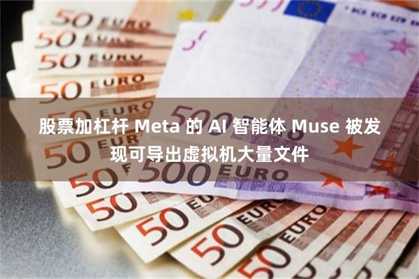 股票加杠杆 Meta 的 AI 智能体 Muse 被发现可导出虚拟机大量文件