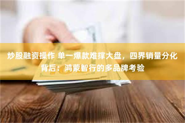 炒股融资操作 单一爆款难撑大盘,四界销量分化背后:鸿蒙智行的多品牌考验