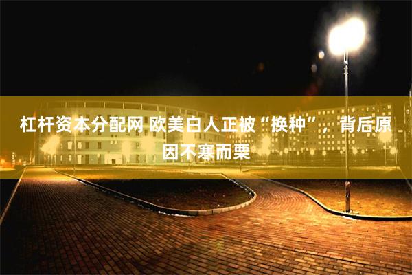 杠杆资本分配网 欧美白人正被“换种”，背后原因不寒而栗